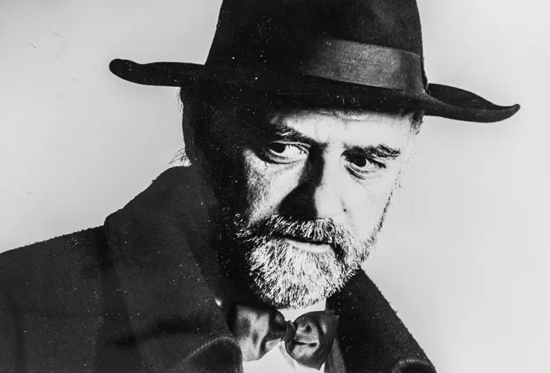 Portret autora Nedžad Ibrišimović